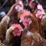 DB943DD1 ED58 4226 A4A6 74CC39631560