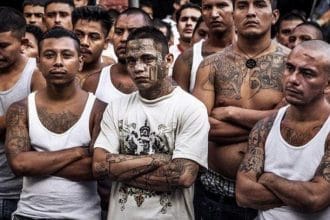 mara salvatrucha
