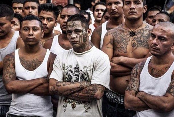 mara salvatrucha