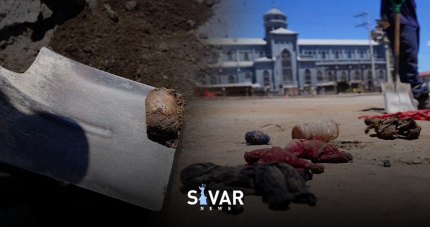 4E81B354 47D7 4744 B24F C206D374992A