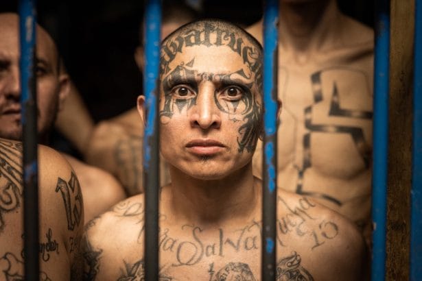 96A00434 0DD7 4C8C B7F0 6F7A255DA858