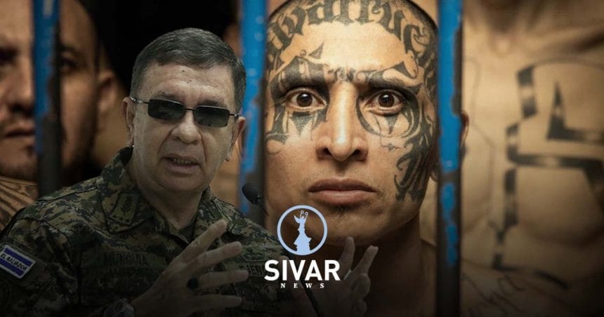 A4E3313F 8144 4CD0 80DF DDD8F021AD65