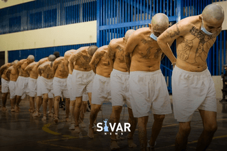 E069CA3C F0AC 49A0 8BE8 B937C8C93B0C