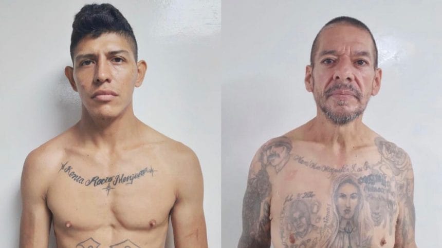 1BE69047 6B0D 49B2 B0A7 B356F02871B8