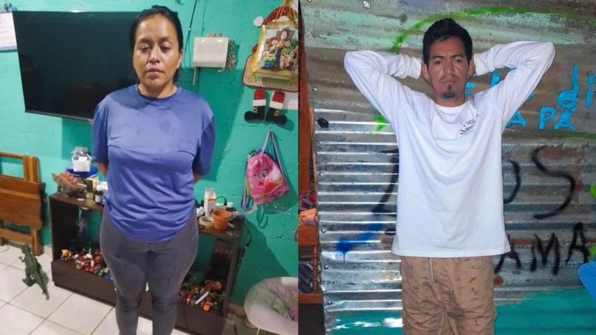 2FCF7597 EBEC 4642 9E91 66C178CA325D