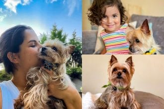 C04B03C7 E20A 49A3 8331 9B59D1298609