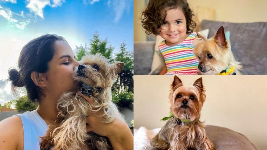 C04B03C7 E20A 49A3 8331 9B59D1298609