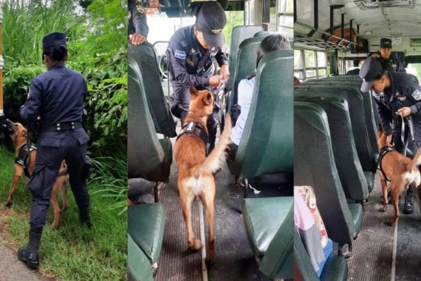 A8AE8646 3C7F 4BC2 A5C0 0E1AC4BF8E8A