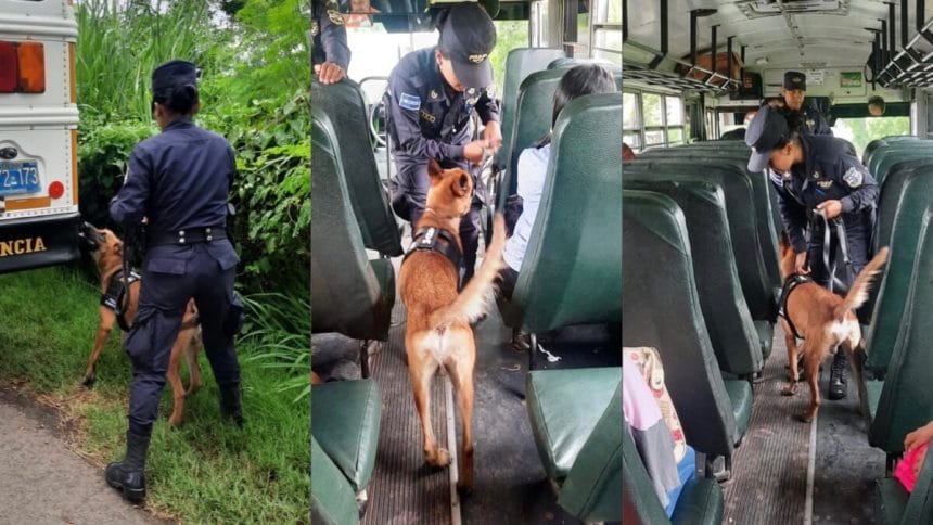 A8AE8646 3C7F 4BC2 A5C0 0E1AC4BF8E8A