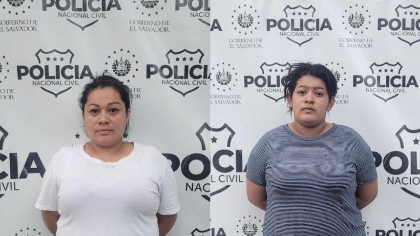 C88406D2 9101 45CD A4EA A452A5196A8F