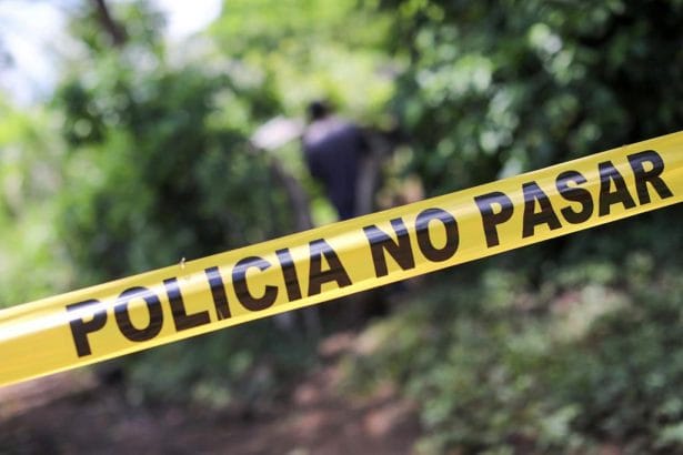 EAFE242C D136 4312 9804 FAF40E3BF603