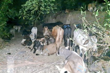 44F89FBD A49C 481A BD39 088D58808948