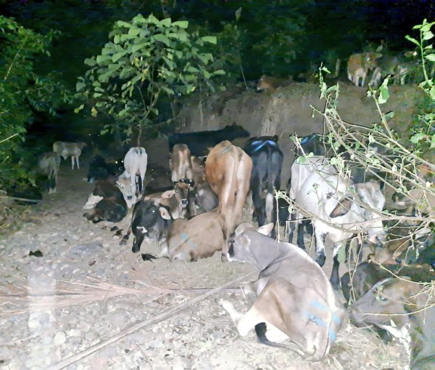 44F89FBD A49C 481A BD39 088D58808948