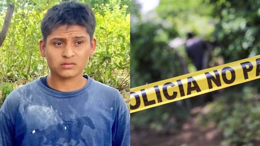 4CA73777 AC4F 4D44 8FF8 47920A40FC14