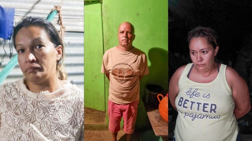 87F9B11A 41C5 4224 8059 AE5A9546551A