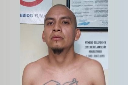 D7FFDB00 C915 4396 ABE6 7AADF1303992