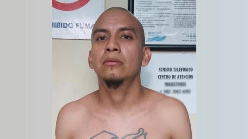 D7FFDB00 C915 4396 ABE6 7AADF1303992