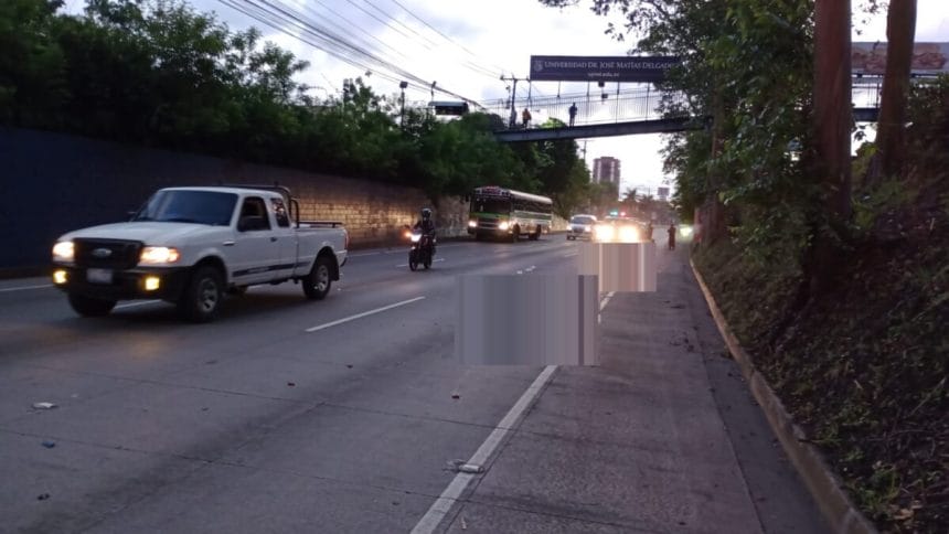 71202CB8 163A 4BC4 9E51 12F06EE8B66F