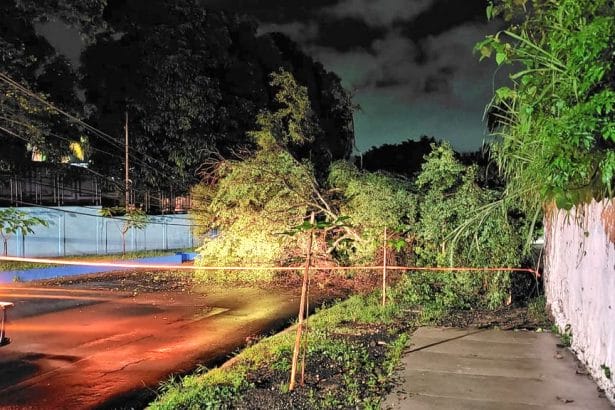 E2C8AFFC 8E9B 4E9F ACEA 1D8705BAD5D8