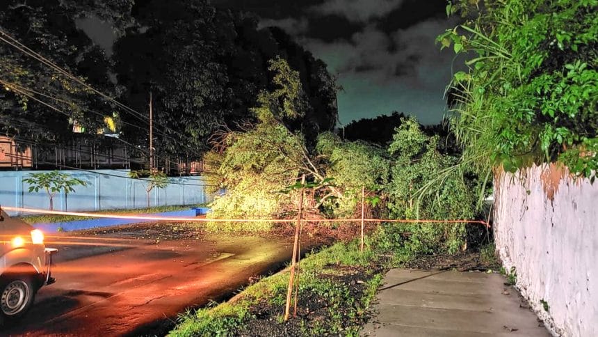 E2C8AFFC 8E9B 4E9F ACEA 1D8705BAD5D8