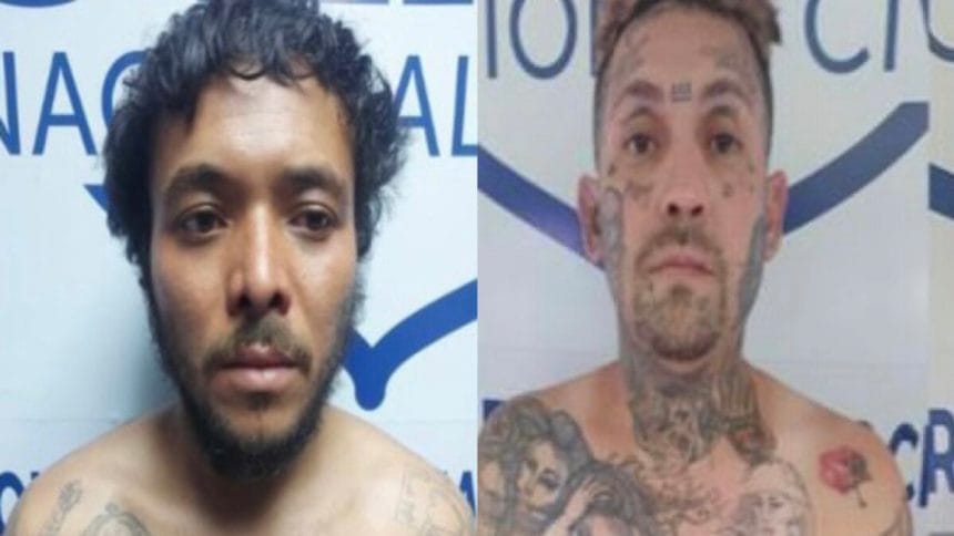 764F8DD3 D56E 499A A408 F0A56DA3E721