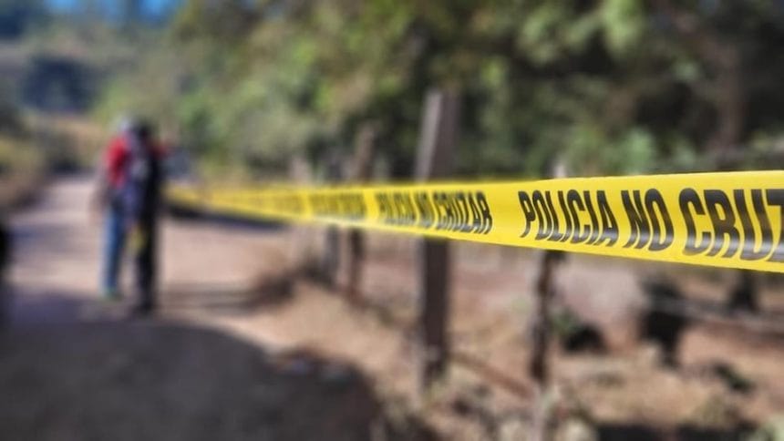 1F6FF400 6B2D 4518 BE00 F45CEA7BCEC4