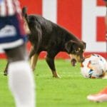 El divertido momento ocurrió durante un partido entre Junior de Barranquilla y Universitario de Perú.