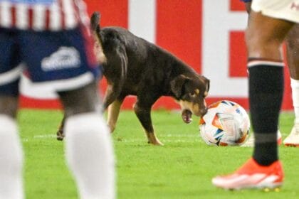 El divertido momento ocurrió durante un partido entre Junior de Barranquilla y Universitario de Perú.