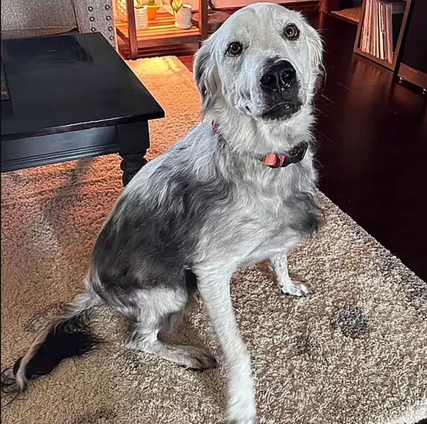 Captura de pantalla 2024 05 06 143340