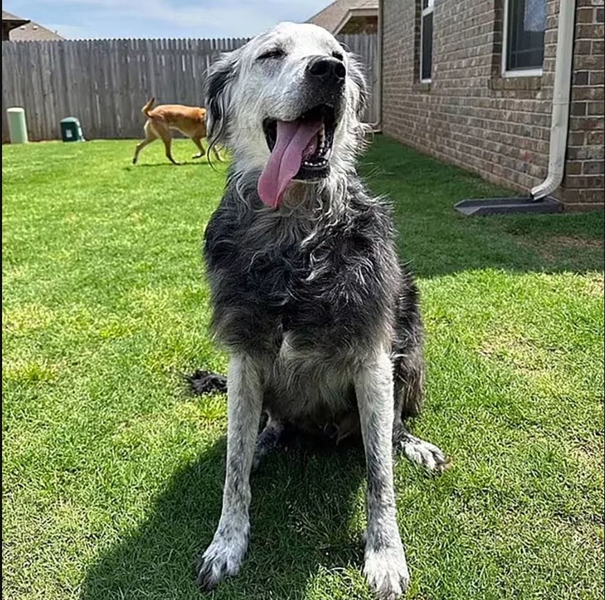 Captura de pantalla 2024 05 06 143354