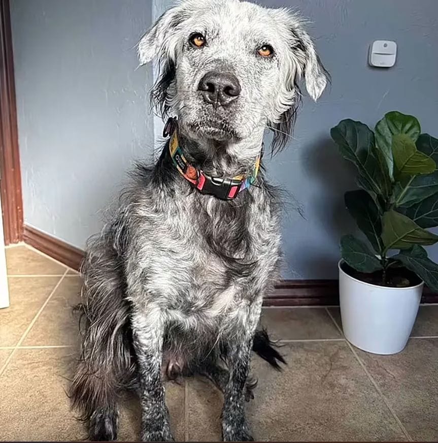 Captura de pantalla 2024 05 06 143425