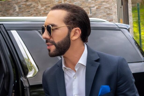 nayibbukele