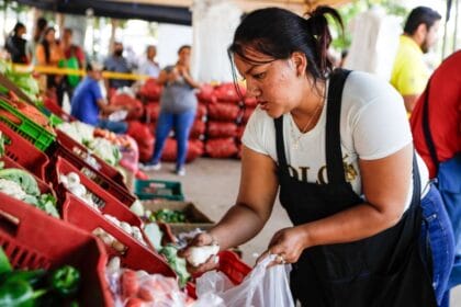 agromercados