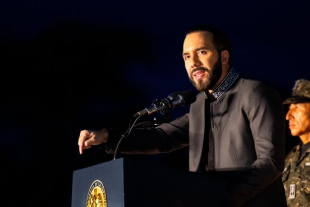 nayibbukele