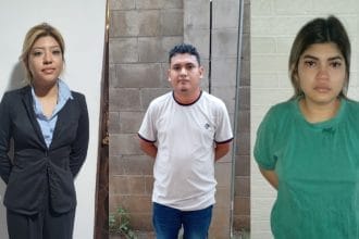 Delitos informaticos