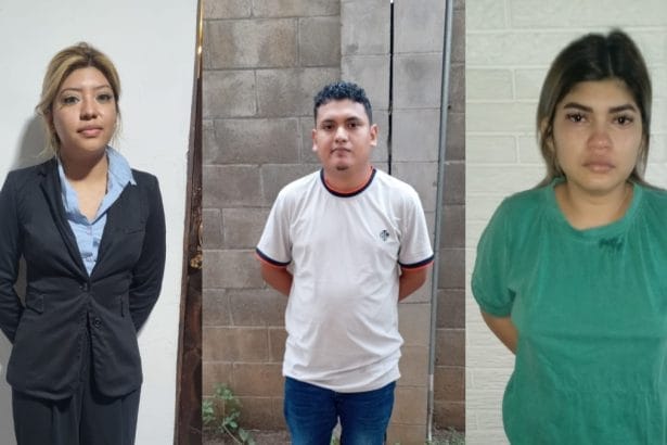 Delitos informaticos