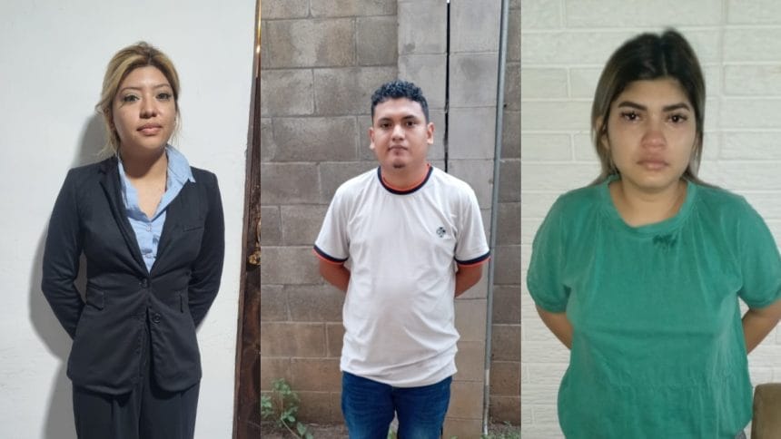 Delitos informaticos