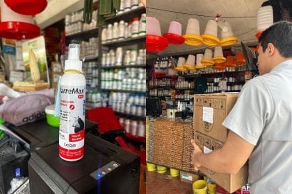 97f460c0 b11a 4be6 a5de f4e3c6631ec8