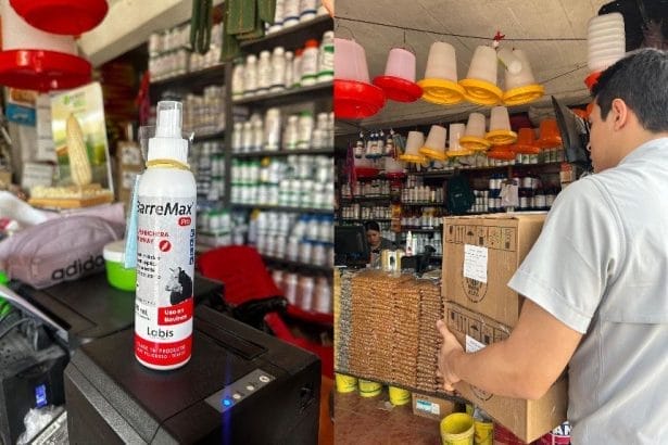 97f460c0 b11a 4be6 a5de f4e3c6631ec8