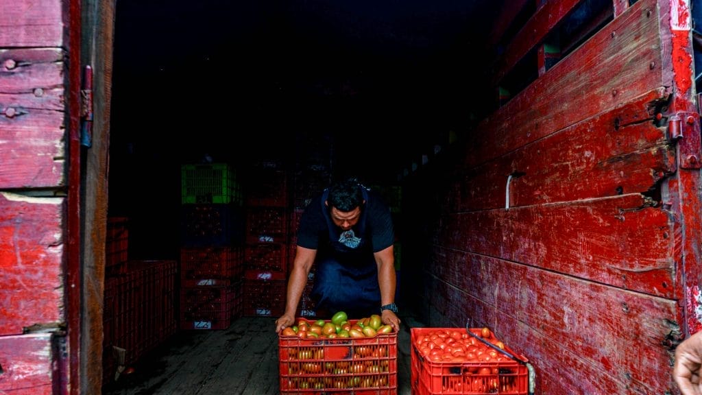 Central de Abastos extras 18