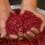 ffc237f5 5b12 4510 8078 5410b744ea5c 1