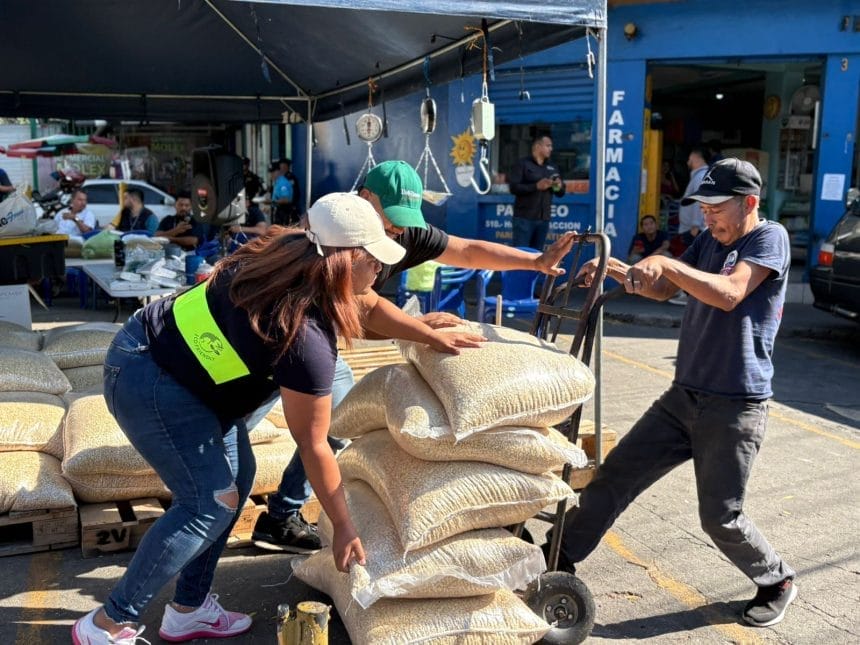 3dba4f42 b9cd 4fbb a4e3 e6dcd8f74a65